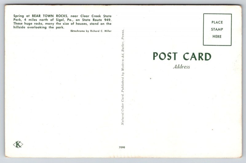 Sigel Pennsylvania~Clear Creek State Park~Bear Town Rocks Spring~1950s Postcard