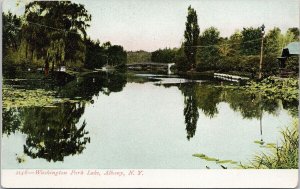 Albany NY Washington Park Lake Unused Postcard H19