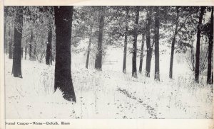 DEKALB ILLINOIS~NORMAL CAMPUS IN WINTER~POSTCARD