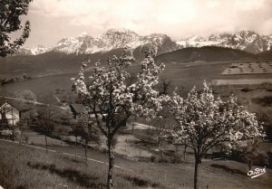 Vintage Postcard Les Belles Alpes Francaises Rome de Grenoble, France RPPC