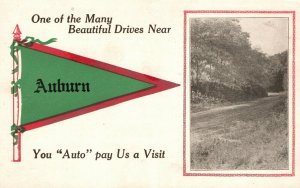 Vintage Postcard One of Many Beautiful Drives Near Auburn You Auto Pay a Visit