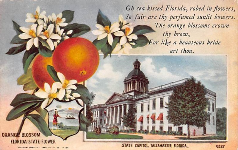 Orange Blossom State Flower Florida, USA State Capitol Unused 