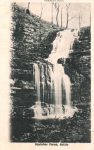 Scaleber Force,Seatlle,WA