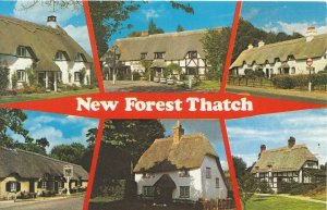 Hampshire Postcard - Views of New Forest Thatch - Ref ZZ4802