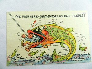 Vintage Postcard Fish Here -Only Go for Live Bait People Comic Humor Linen Camp