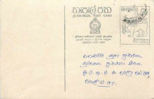 Entier Postal Stationery Postal Sri Lanka Ceylon Lion