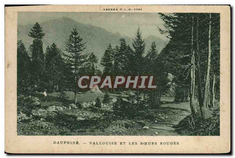 Old Postcard The Dauphine Vallouise And Red Oxen