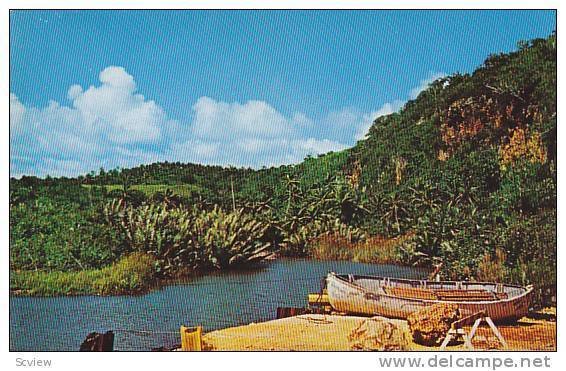 Talafofo River Flows Gently Among Reeds & Nipa Palms As She Empties Into Tala...