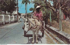 Donkey Cart Vender, Barbados, 1950-60s