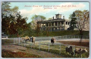1909 DRUID HILL PARK ZOO MANSION HOUSE BALTIMORE MD*TO EXMORE VA HELEN MAPP