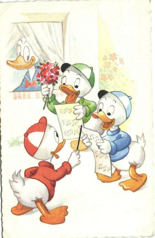 PC DISNEY, HUEY DEWEY AND LOUIE DUCKS, Vintage Postcard (b35772)