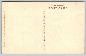 Hand Colored  Manchester  Vermont   Valley Road  Postcard