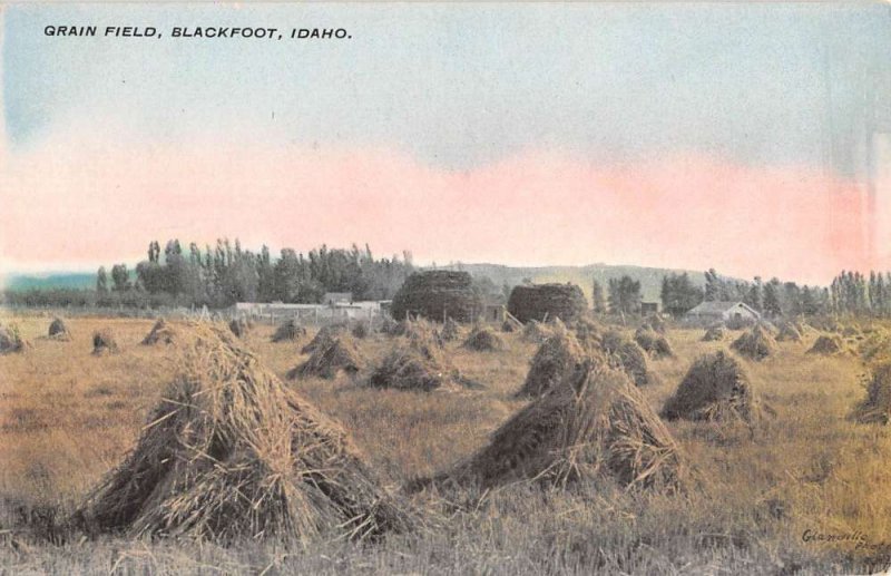 Blackfoot Idaho Grain Field Farm Scene Antique Postcard KK1870