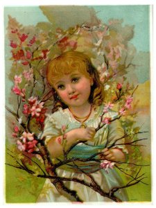 1880's Set of 4 Fab Adorable Kids Grapes Bird Parasol Victorian Trade Cards *M