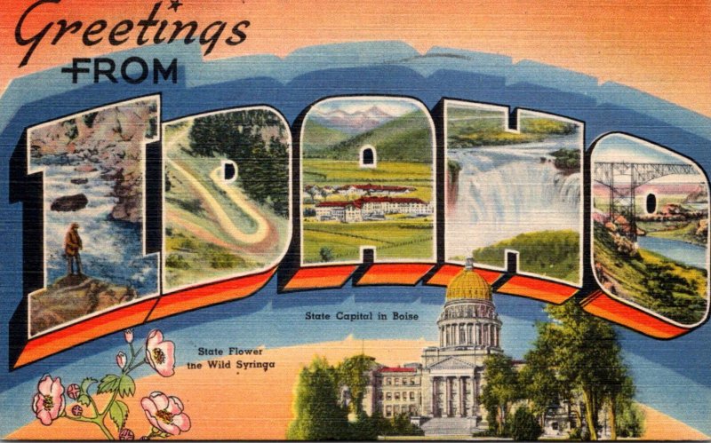 Idaho Greetings From Large Letter Linen 1947