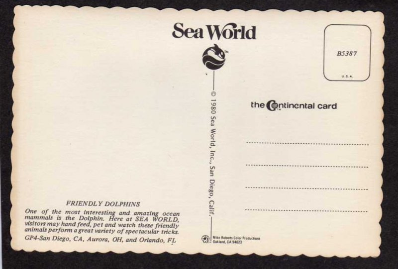 FL Sea World Amusement Park Dolphins Show Orlando Florida Postcard