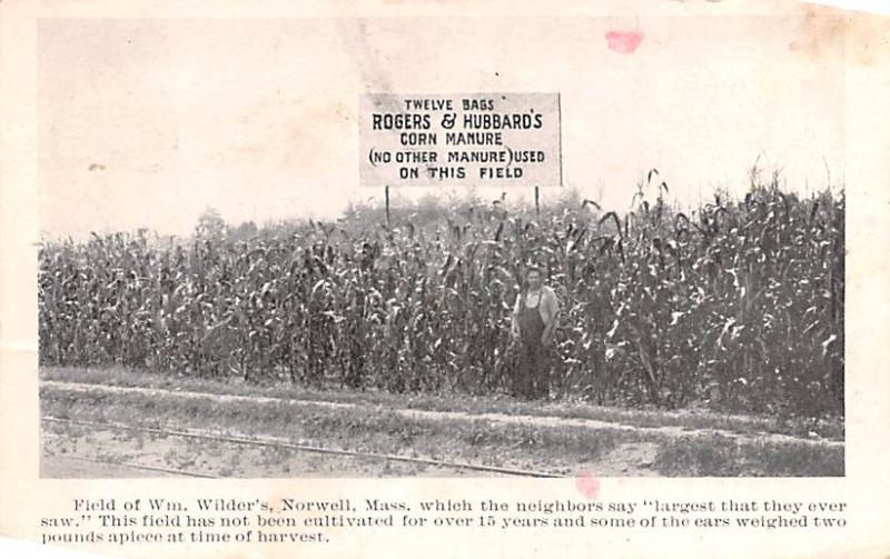 WM Wilder's Field, Corn Advertising 1912 