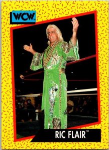 1991 WCW Wrestling Card Ric Flair sk21167