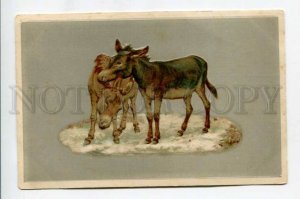 422967 Funny DONKEY Family Vintage EMBOSSED postcard