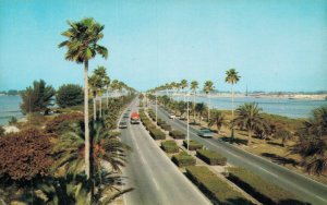 USA Clearwater Beach Florida Vintage Postcard 07.36