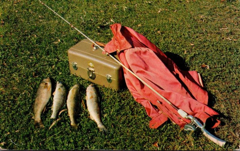 Fishing Day's Catch Walleye Pike 1954