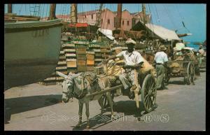 Donkey and Horse drawn Carts