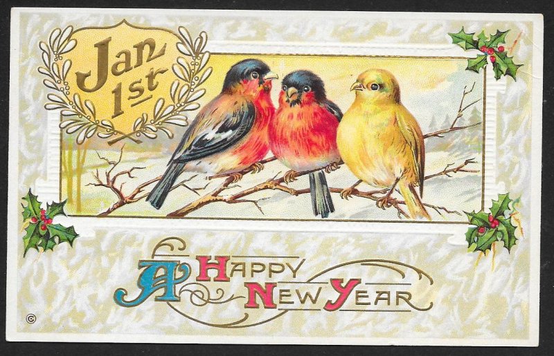 A Happy New Year Birds on Branches & Holly Unused c1910s