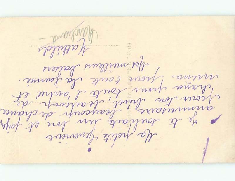 tinted rppc c1910 BEAUTIFUL FLOWERS AC9069