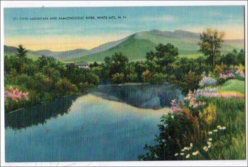 Twin Mt & Ammonoosuc River, White Mts NH