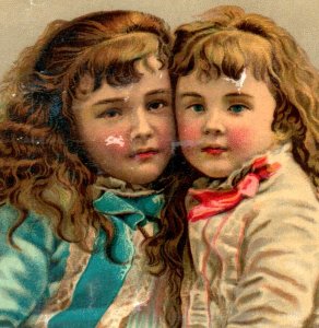 1880s-90s Victorian Trade Card Adorable Beautiful Children #6V