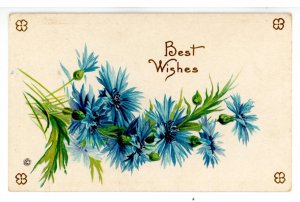 Greeting - General, Best Wishes, Good Luck, etc…