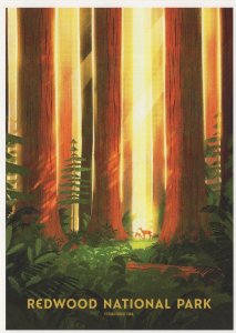 Redwood National Park Prairies River Deer Canyon California USA Postcard