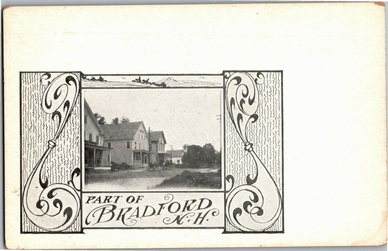 Homes, Street View Bradford NH Pre-1908 Undivided Back Vintage Postcard R31