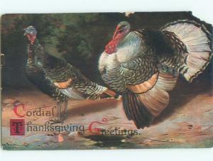 Divided-Back THANKSGIVING SCENE Great Postcard AA0559