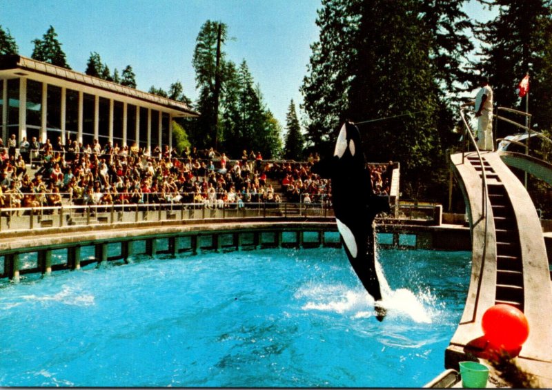 Canada Vancouver Public Aquarium Skana The Killer Whale