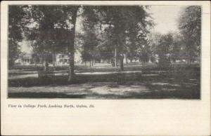 Gal;va IL College Park c1910 Postcard