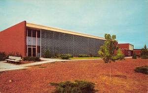 Farmington New Mexico Municipal Building Street View Vintage Postcard K9510