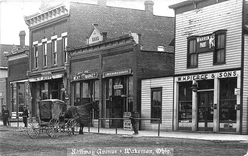 Wakeman OH Railroad Avenue Store Fronts Horse & Wagon RPPC Postcard