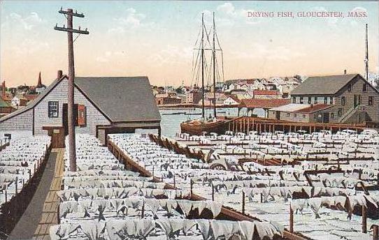 Massachusetts Gloucester Drying Fish