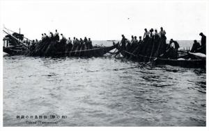 Japan Tomonoura  Taiami, Men Net Fishing from boats