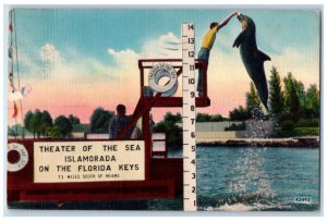 1953 Theater Sea Islamorada Florida Keys Porpoises Leap Miami Florida Postcard