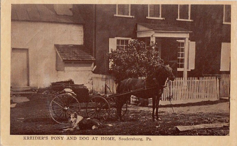 Postcard Kreider's Pony + Dog Soudersburg PA