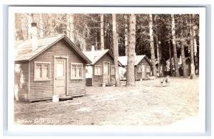 Postcard Yosemite Lodge Cabins, California CA RPPC deer D16