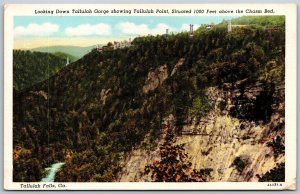 Vtg Tallulah Falls Georgia GA looking down Gorge Tallulah Point 1930s Postcard