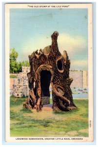 OLD STUMP AT LILY POND LITTLE ROCK ARKANSAS AR POSTCARD (GS10)