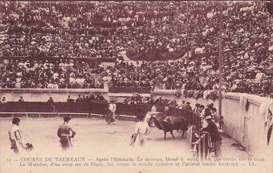 Bull Fight Course De Taureaux Matador and Bull