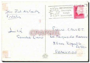 Old Postcard Netherlands Folklore Cheese Merchants