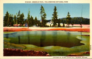 Yellowstone National Park Emerald Pool At Upper Geyser Basin Curteich