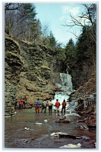 c1950's Rainbow Fishing in the Finger Lakes Deckertown Falls Montour NY Postcard