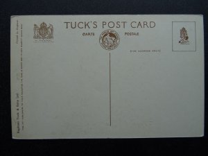 Wales Cymru ANGLESEY Beaumaris PENMON PRIORY c1951 Postcard by Raphael Tuck